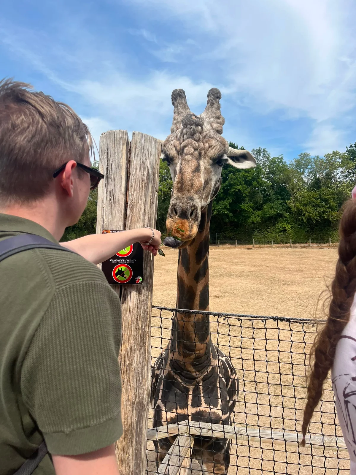 thomas qui nourrit une girafe par-dessus une barrière dans un enclos